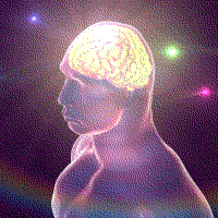 radiant brain